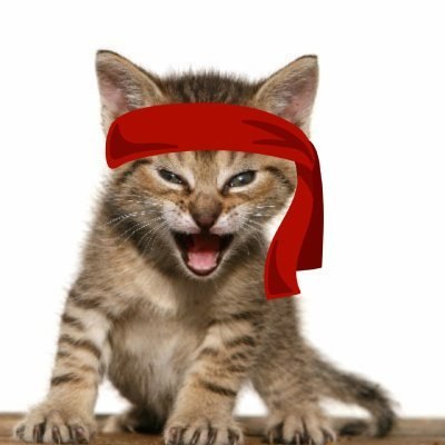 ROAR kitten mascot wearing a red bandana